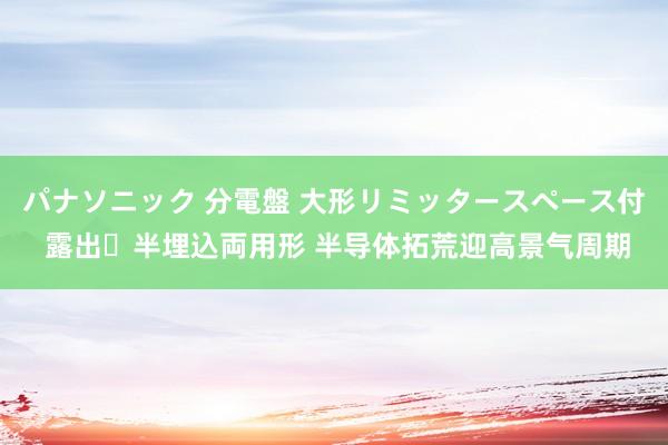 パナソニック 分電盤 大形リミッタースペース付 露出・半埋込両用形 半导体拓荒迎高景气周期